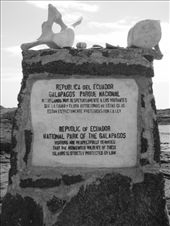 by explorerdotgone, Views[194]