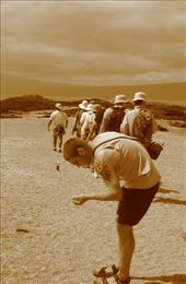 by explorerdotgone, Views[155]