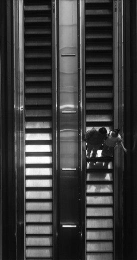 Above all the comfortable solitary moment, life's always better with company