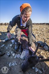 by extraordinaryexperiences, Views[390]