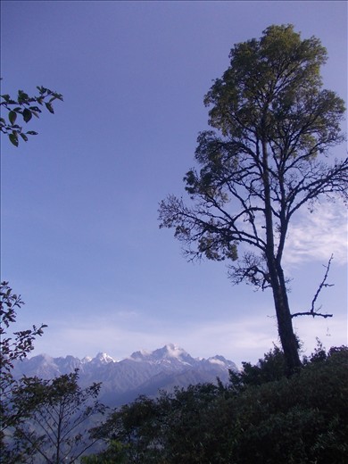 Where a mountain range seems smaller than a tree.