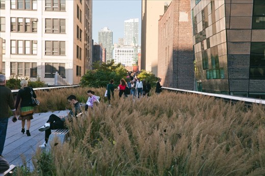 In Manhattan, nature and urbanism join forces to give people a 