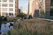 In Manhattan, nature and urbanism join forces to give people a 