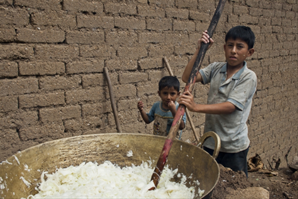 Two boys mix sugar cane over heat to prepare a regional specific molasses 