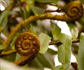 I am awe: by eytansw, Views[261]