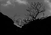 I am mystery: by eytansw, Views[276]