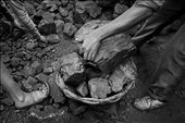 Pieces of coal and loading into wicker baskets for sell at black market.: by eztosee, Views[997]