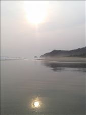 by f0nsey, Views[219]