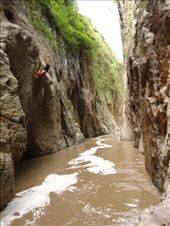 by f0nsey, Views[169]