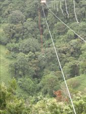 by f0nsey, Views[330]