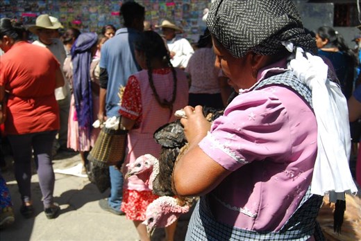 As time goes by, it comes to the point to sell or trade the live stock you have cared for every day.