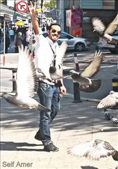 by facebook, Views[441]