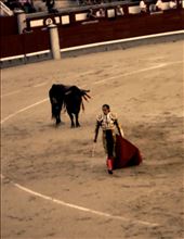 by facesplaces, Views[313]