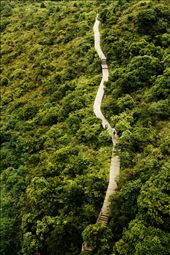 Walk for Faith.: by fah_skyfly, Views[415]
