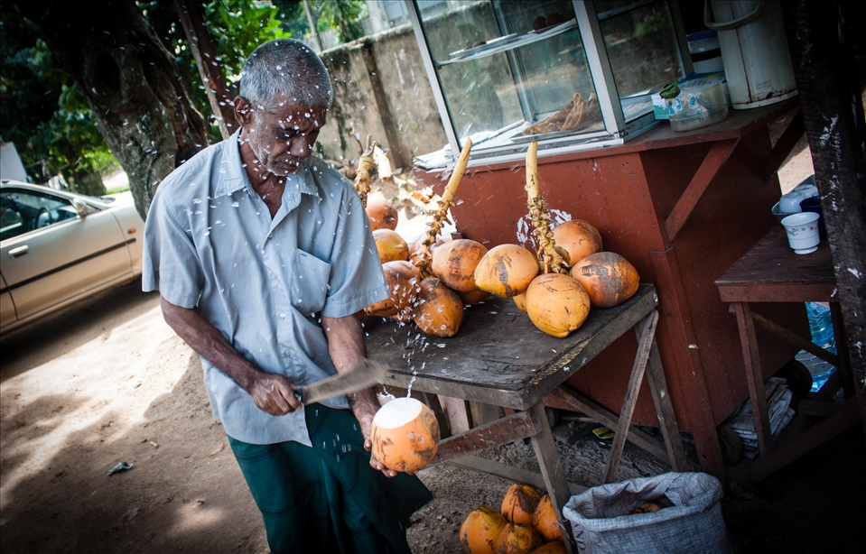 Sunny Sri Lankan afternoons mean that Tillekeratne usually sells most of his King Coconuts. The fruits come from a tree in his own garden and sell at about Rs. 40(US$ 0.32) a fruit.  