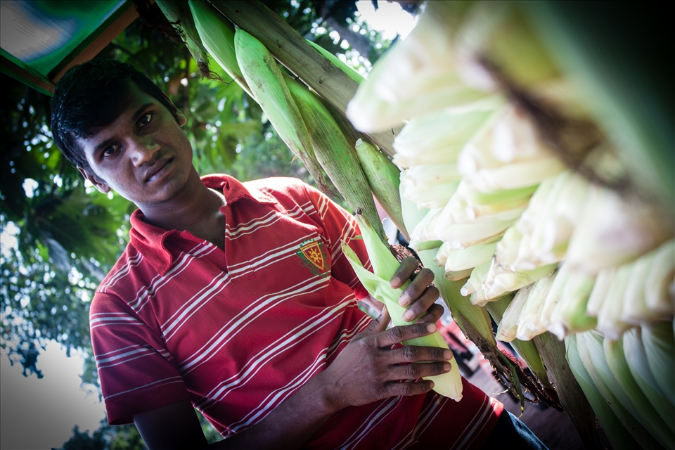 The very shy Chamara sells corn on the cob. He boils the corn over a wood fire right next to his corn stall.