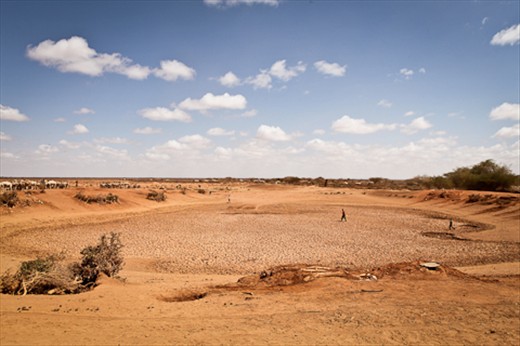 Somaliland Suffers from worst Drought in Recent years 