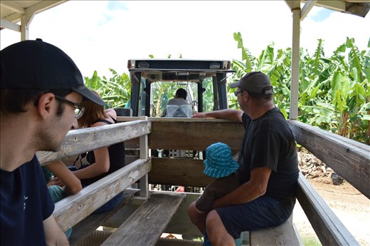 promenade en tracteur