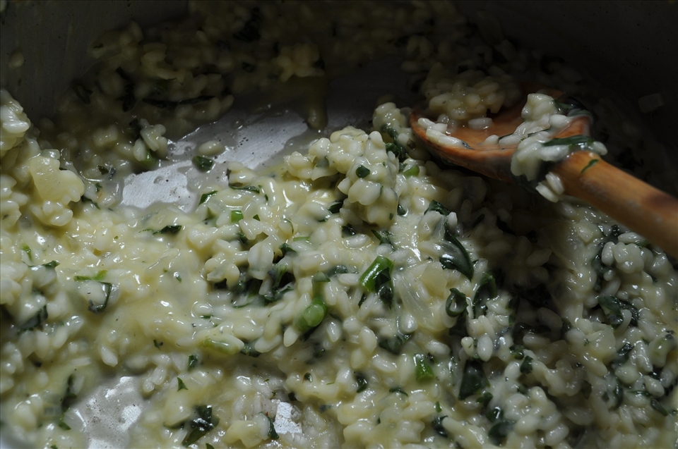 more risotto!