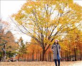 by fania_hils, Views[201]