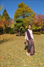 by fania_hils, Views[302]