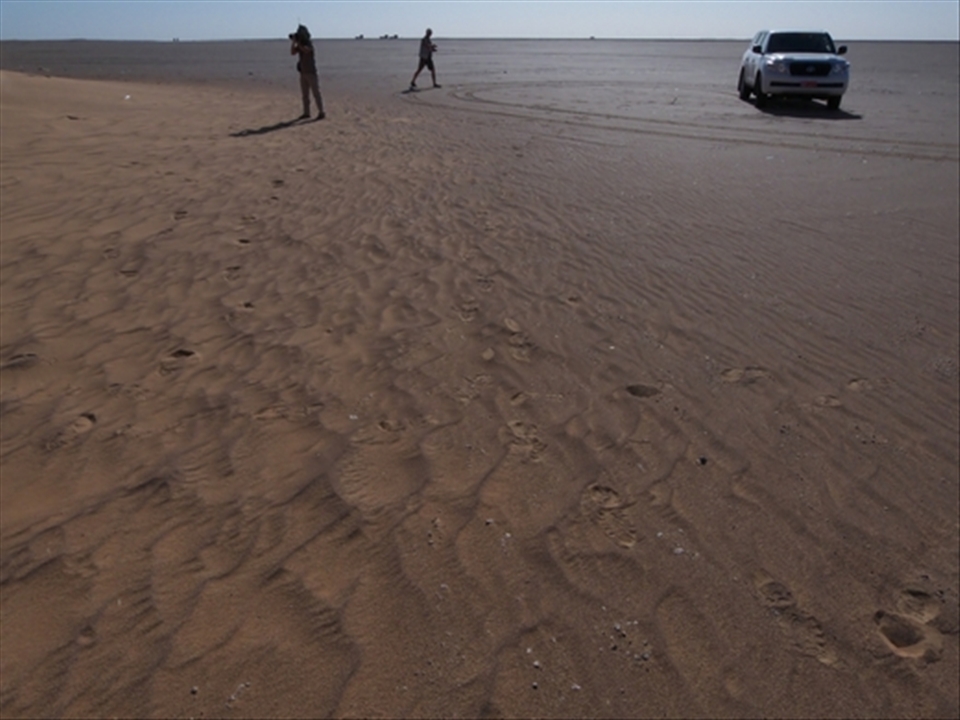 Interesting coluld be at anytime and anywhere, so very often we must got out of the car.