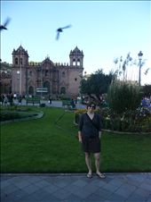 by farfalla, Views[186]