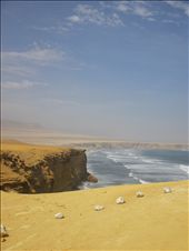 by farfalla, Views[201]