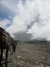 by farfalla, Views[336]