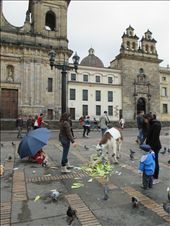 plaza bolivar: by farfalla, Views[243]