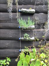 by farfalla, Views[212]