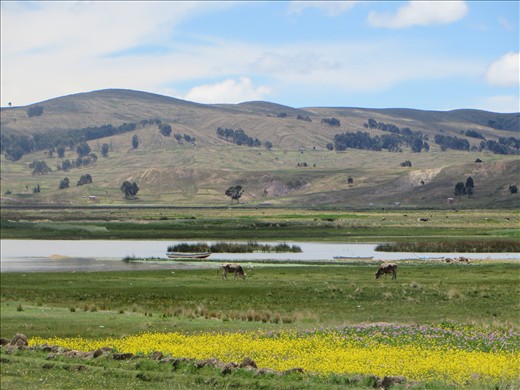 Lago Titicaca