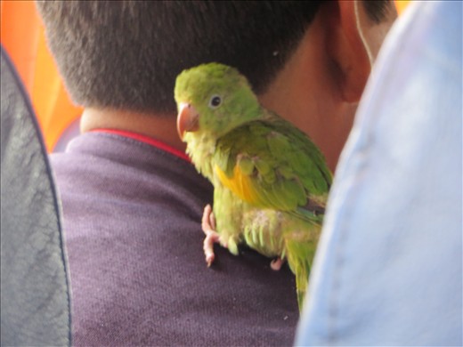 und der Kleine erst..