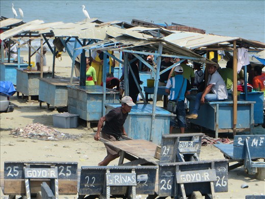 Manta- Ecuador