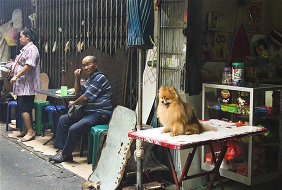 A local seems contemptuous of the tourists as the well-groomed dog looks on. 