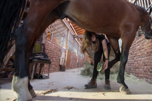 I order for riding to be safe, one have to prepare the Horse