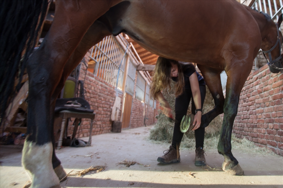 I order for riding to be safe, one have to prepare the Horse