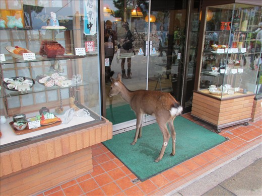 Deer Miyagima