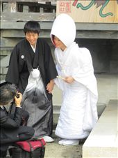 Wedding Bliss: by fartandbelch, Views[217]