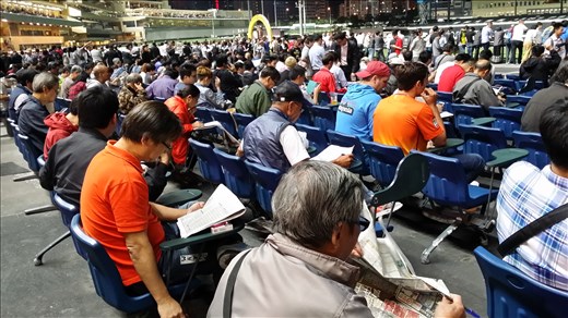 Happy Valley punters