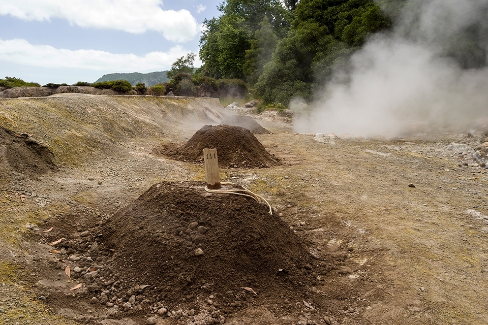 Cooking in the region 