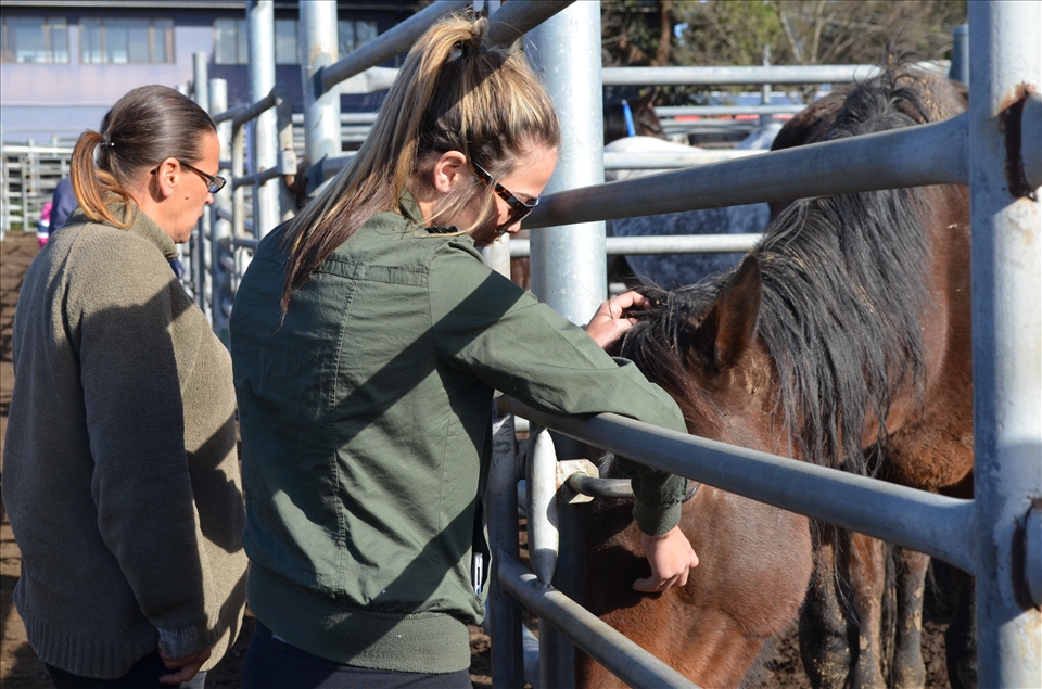 ...but it can also be where lifelong best friends meet for the first time.