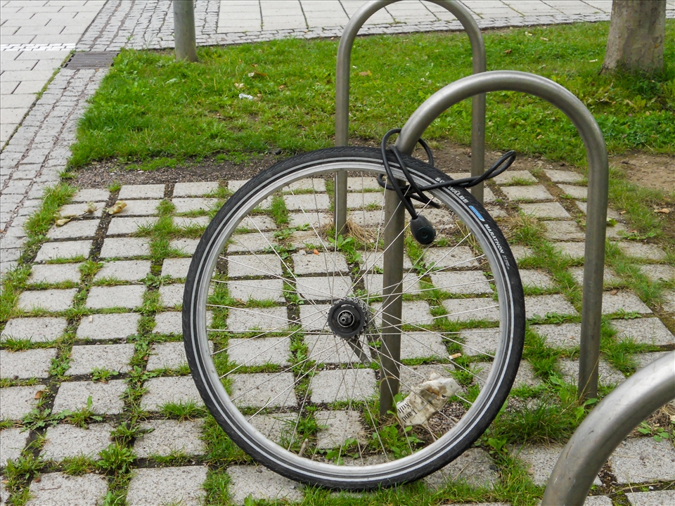 Everything is Precious