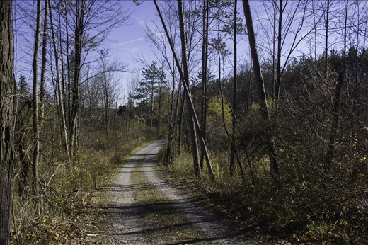 The road leading into Kenneglenn Nature Preserve. East Aurora, NY.