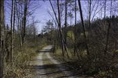 The road leading into Kenneglenn Nature Preserve. East Aurora, NY.: by fearlessmortal, Views[342]