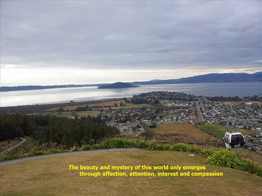 The beauty and mystery of this world only emerges through affection, attention, interest and compassion.