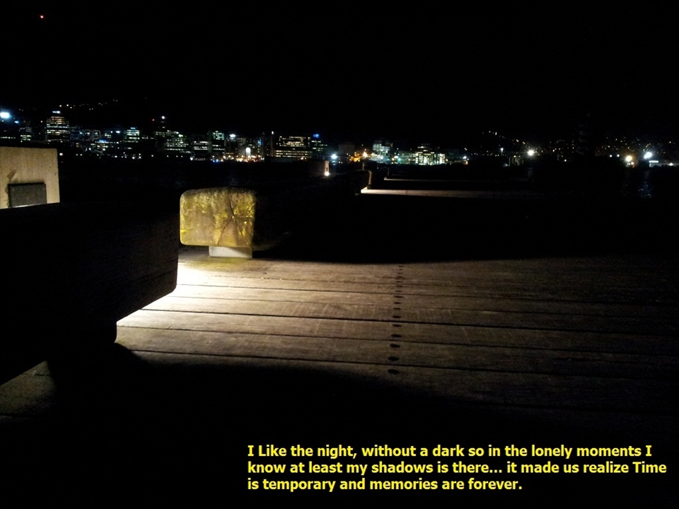 I Like the night, without a dark so in the lonely moments I know at least my shadows is there... it made us realize Time is temporary and memories are forever.