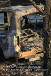 by feemarshall, Views[217]