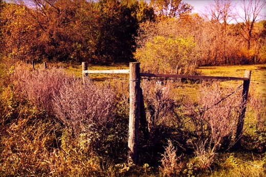 This photo was taken outside of Boissevain Manitoba at a ranch known as Room to Grow.