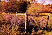 This photo was taken outside of Boissevain Manitoba at a ranch known as Room to Grow.: by fehrphotos, Views[212]